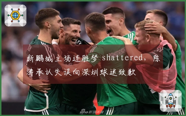 新鹏城主场连胜梦 shattered，陈涛承认失误向深圳球迷致歉